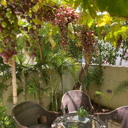 Homestays Ludhiana Zewnętrze zdjęcie