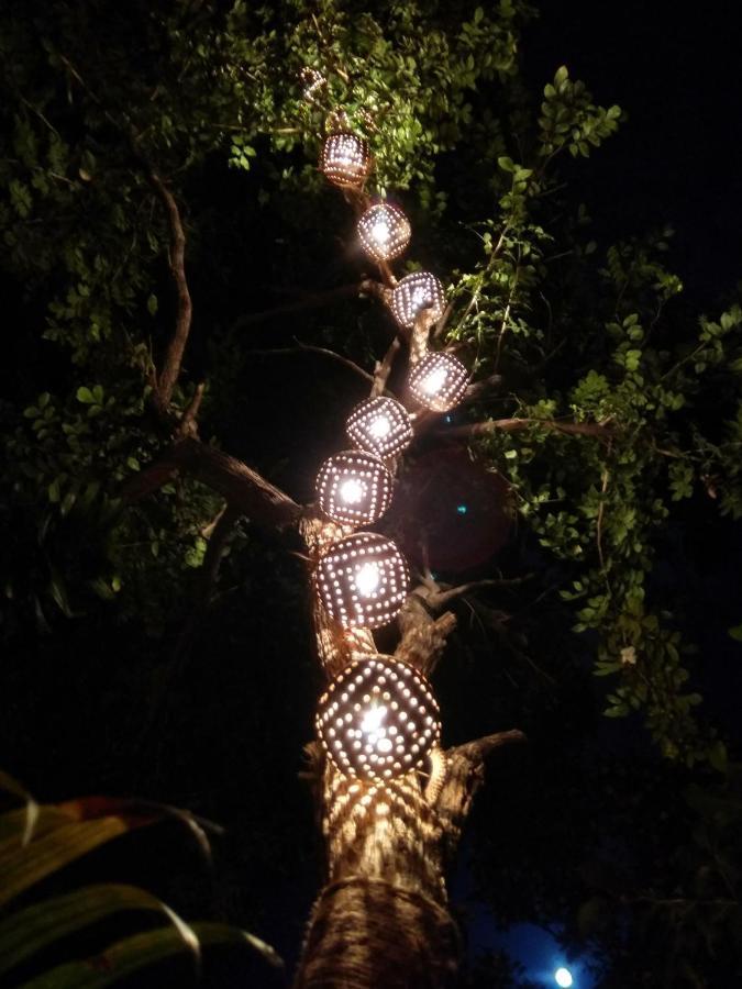 Homestays Ludhiana Zewnętrze zdjęcie