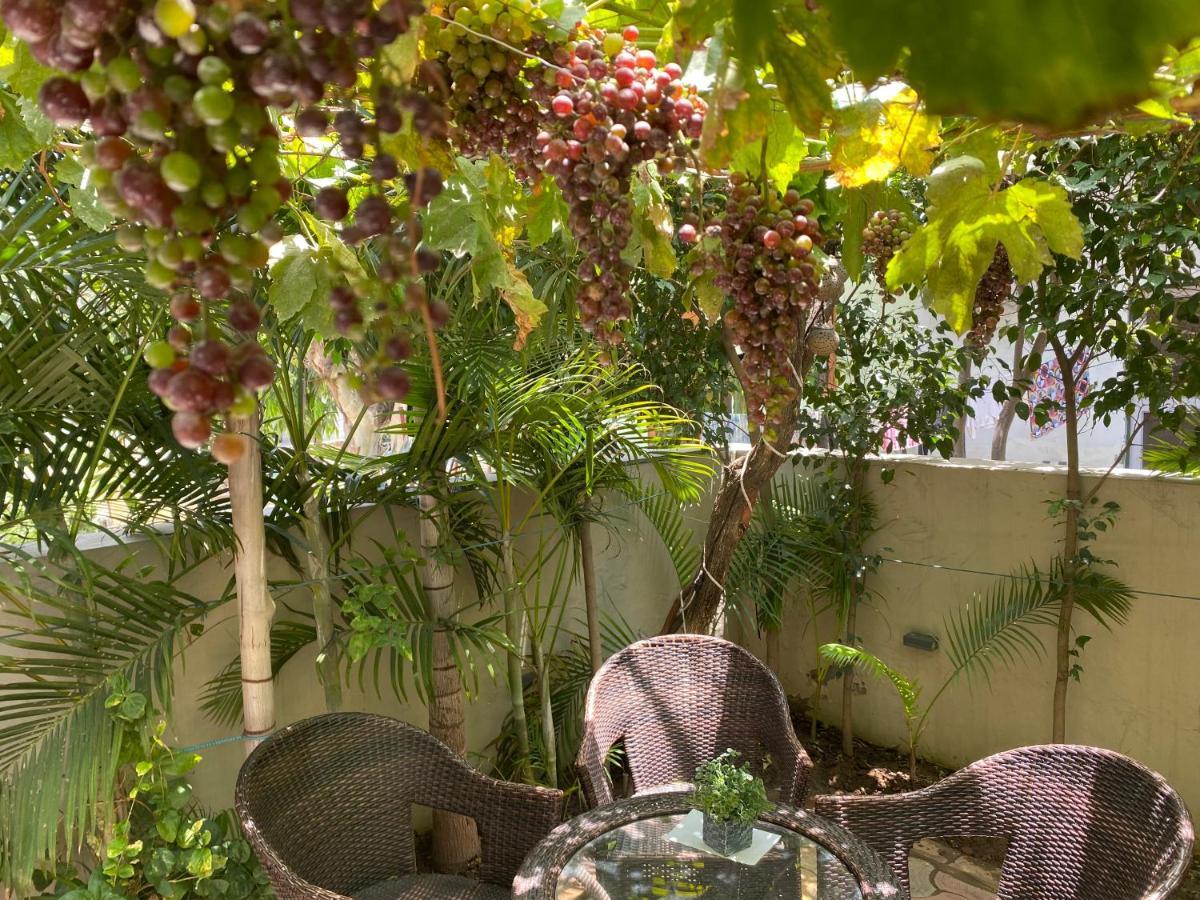 Homestays Ludhiana Zewnętrze zdjęcie